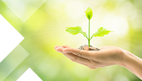 Beneficios Económicos de un jardín vertical Beneficios Económicos de un jardín vertical
