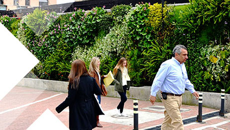 beneficios sociales jardin vertical beneficios sociales jardin vertical